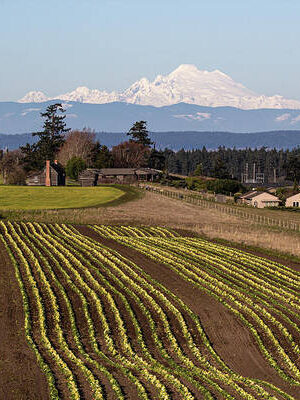 Ebey's Landing Farming with Mount Baker