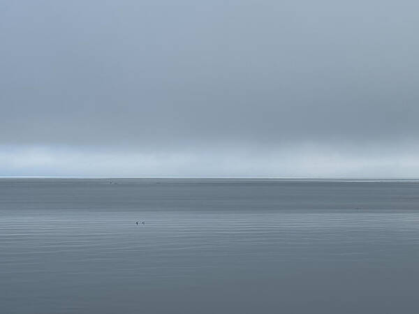 Grey Day at Penn Cove
