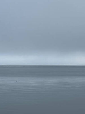 Grey Day at Penn Cove