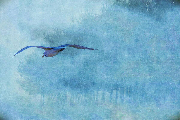 Seagull and Trees