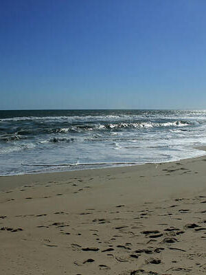 South Beach, Martha's Vineyard