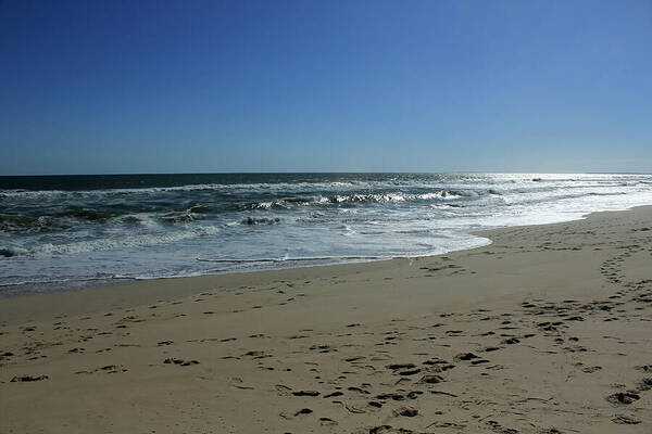 South Beach, Martha's Vineyard