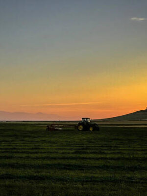 Tractor on Ebeys Historical Reserve
